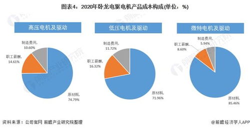 干货 2021年中国工业电机行业龙头企业分析 卧龙电驱 未来朝向数字化 低碳化发展